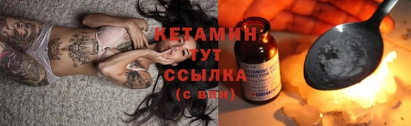 шишки Пестово
