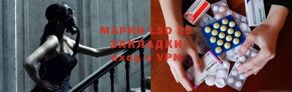 шишки Пестово