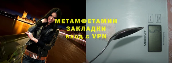 шишки Пестово