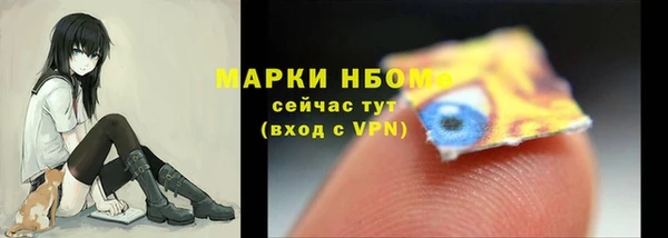 шишки Пестово