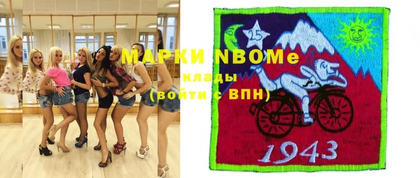 шишки Пестово