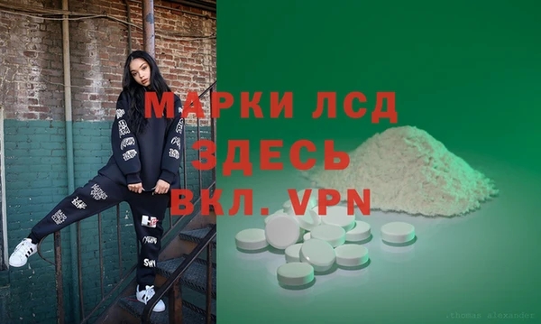 дживик Белая Холуница