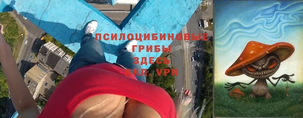 шишки Пестово