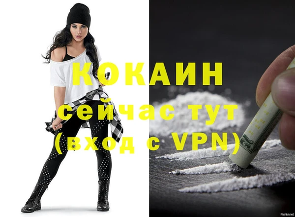 шишки Пестово