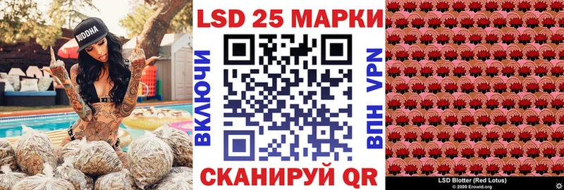 Наркотические марки 1,8мг  KRAKEN как войти  Боготол  что такое наркотик 